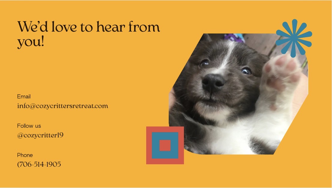 Waggy Wonders