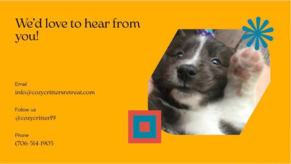 Waggy Wonders